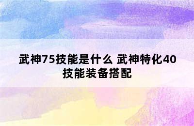 武神75技能是什么 武神特化40技能装备搭配